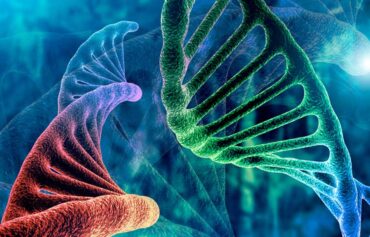 ΚΑΡΚΙΝΙΚΟΣ ΠΟΝΟΣ